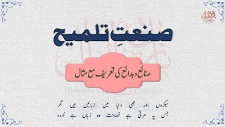 Sanate Talmih Ki Tareef aur Misaalen  Sanai o Badai  Urdu Grammar BAZICHAeATFAAL [upl. by Eixela887]