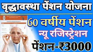 60 Years Old Pension Yojana 2024 Online Apply  old age pension yojana 2024 up  online registration [upl. by Neelrahs]