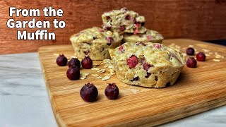 Serviceberry Oat Muffin Recipe From The Garden [upl. by Errol316]