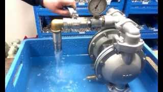 RANpump 1 Aluminium Diaphragm Pump Air Valve Leak Test [upl. by Fontes]