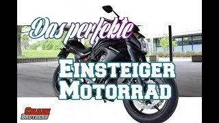 Was man vor dem Kauf einer Kawasaki ER6N wissen sollte  Kaufberatung [upl. by Fidelio]