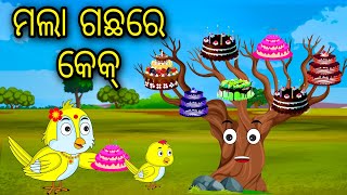 Mala Gachare Cake  Odia Cartoon Odia Bird StoriesOdia Chadhei Gapa Odia Moral Story Odia Gapa [upl. by Anam]