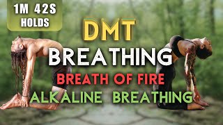 ALKALINE BREATHING DMT Breathing With Guidance  1Min 42Sec Holds 3 Rounds Session 2531 [upl. by Gisela]