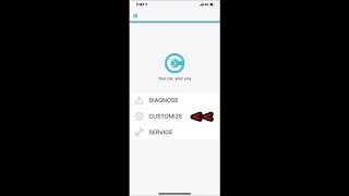 Carista App Customisation Options for Toyota C HR [upl. by Suiraj]