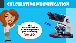 How to Calculate Total Magnification on a Compound Microscope [upl. by Anelac]