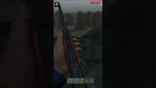 Bitterroot rock shot shorts live dayzlivestream livegaming [upl. by Ole]