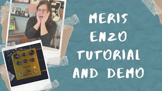 Meris Enzo Tutorial and Demo [upl. by Suirauqed]