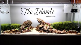 Aquascaping THE ISLANDS [upl. by Neerahs]