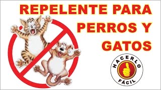 Cómo Hacer Un Repelente Para Perros Y Gatos  Hacerlo Fácil [upl. by Iramo]