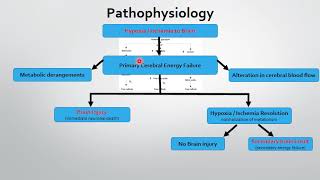 Birth AsphyxiaHypoxic ischemic Encephalopathy [upl. by Irahc339]