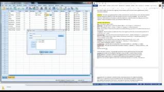 Creating a Codebook in SPSS [upl. by Hazaki]