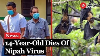 Nipah Virus 14YearOld Boy From Kerala Dies Of Nipah Virus Health Officials On High Alert [upl. by Goto]