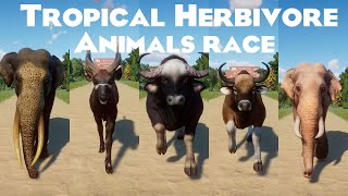 Tropical Herbivore Animals Speed Races in Planet Zoo include Indian Elephant Gaur Buffalo amp etc [upl. by Stelu]