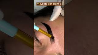 Cejas Perfectas Aplicación de Henna  Tutorial shorts cejascongena cejashd [upl. by Haakon]