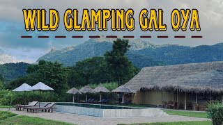 Wild Glmaping Gal Oya  Thema Collection  Hotel Review  vlog 20 [upl. by Ayk]