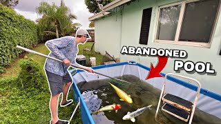 Saving Fish from Abandoned Pool Pond [upl. by Tillie]