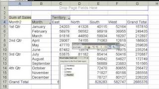 Group Months into Quarters in an Excel Pivot Table [upl. by Sylvester705]