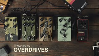 Walrus Audio Overdrive Comparison [upl. by Diva]