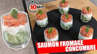 SAUMON FROMAGE CONCOMBRE VERRINE SALEE IDEALE POUR LES FETES DE FIN DANNEE TRES PEU CALORIQUE [upl. by Annoyik]