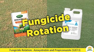 Fungicide Rotation Azoxystrobin and Propiconazole ☀️ S2E13 [upl. by Eemyaj333]