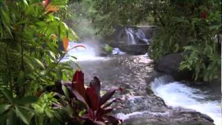 Discover Costa Rica [upl. by Nomrac515]