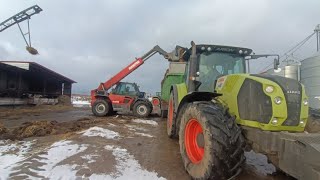 Wywóz obornika na pryzmę🚜💩 Claas Arion 620amp Hawe amp Manitou MLT ✈️🔥 [upl. by Rimahs]