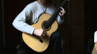 Rumores de la Caleta  Isaac Albéniz  by Jan Depreter guitar [upl. by Sibley]