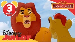 The Lion Guard  The Kupatana Celebration  Disney Junior UK [upl. by Bertila]