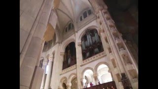 Cathedral of St John the Divine Organ Demonstration [upl. by Aldwin434]