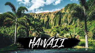 Der SCHÖNSTE Ort auf HAWAII  12 [upl. by Nowtna]