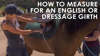 How To Measure Your Horse for English amp Dressage Girth Size [upl. by Holihs234]