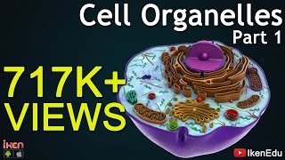 Cell Organelles  Part 1  Animation Video  Iken Edu [upl. by Acinomahs]