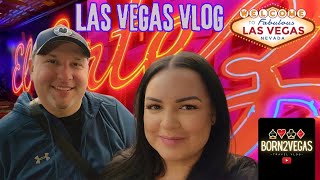 ANDIAMO STEAKHOUSE  Vegas Travel Vlog Day 3  Stadium Swim  The D  El Cortez  November 2023 [upl. by Arzed]