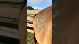 glitter your horse with our Glittermarx Explosion equestrian eventing horseriding rodeo pony [upl. by Ingold837]