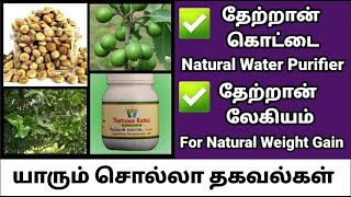 தேற்றான் கொட்டை பயன்கள்Thetran kottaiThetran kottai benefitsuseswater purificationlegiyamTamil [upl. by Aneen32]