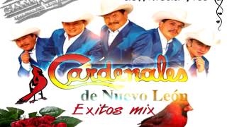 cardenales de nuevo leon mix exitos [upl. by Erleena]