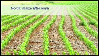 Soybean Cultivation 09 Soil Cultivation and Seedbed Preparation  Wessel van Wyk [upl. by Wat546]