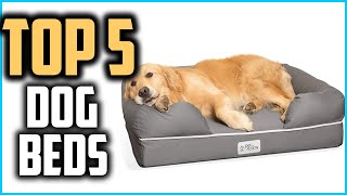 ✅ Top 5 Best Dog Beds in 2024 Reviews [upl. by Eboj]