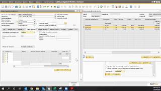 Controla e identifica a detalle los costos de importación por pedimento [upl. by Ruthy287]