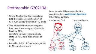 Hematology in 10 min Hypercoagulobility State and application [upl. by Irdua213]