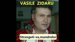 Vasile ZidaruStrangetivamandrelorPARODIE [upl. by Gabriellia786]