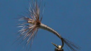 Beginner Fly Tying a Tenkara Adams with Jim Misiura [upl. by Eppilihp]