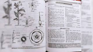 Bsc 2 year botany practical file topic😁😁 [upl. by Pernas]