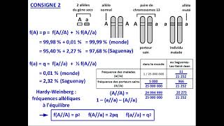 ESSVT Term  dérive génétique et évolution des fréquences alléliques 22 [upl. by Labotsirhc260]