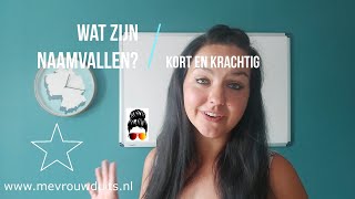 mevrouwduits Wat zijn naamvallen en hoe ontleed je een zin [upl. by Einehpets]