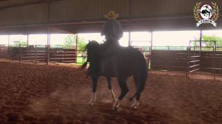 Reining Horse Training  Sliding Stop and Honest Run Downs with Scott McCutcheon [upl. by Pearlman]