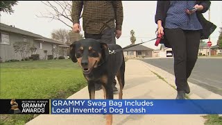 GRAMMY Swag Bag Leash [upl. by Rudich728]