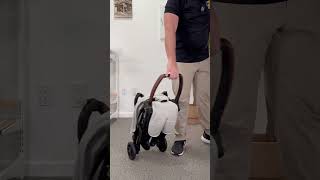 Best Compact Strollers ✈️ stroller [upl. by Dlanod]