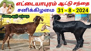 31  8  2024 எட்டையாபுரம் Goat Market  சனிக்கிழமை  கொடி ஆடு [upl. by Jehiel]