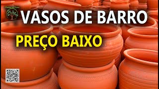 Comprando Vasos no Ceasa veja base de valores e opções Plantar em Casa [upl. by Phares]